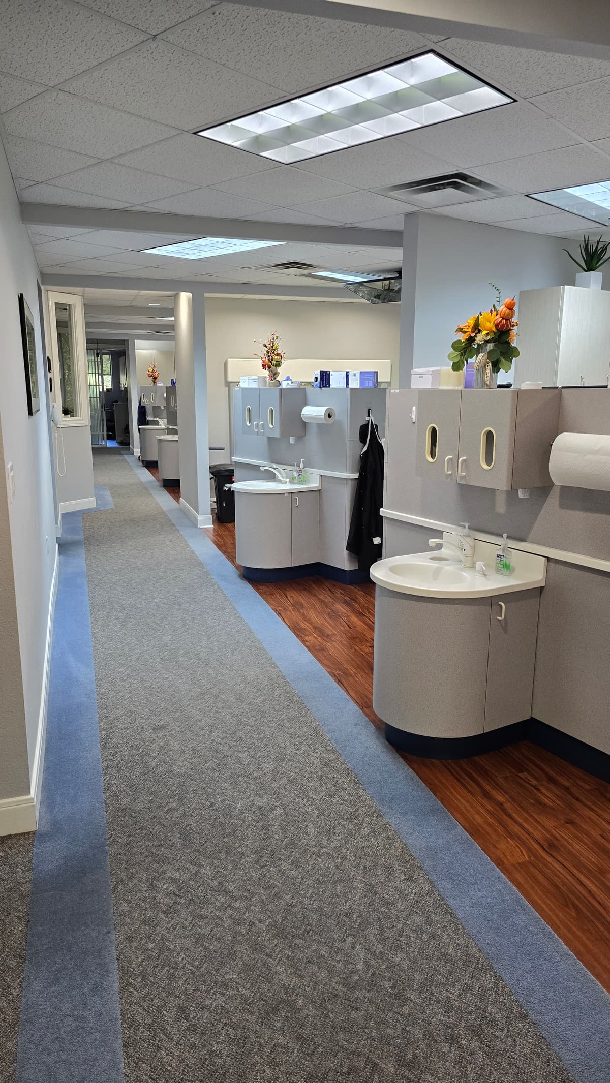Professional office renovation in Alamo Heights